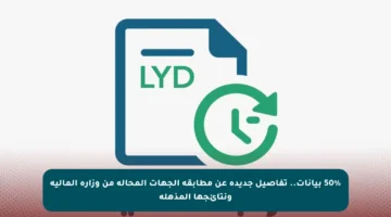 50% بيانات.. تفاصيل جديدة عن مطابقة الجهات المحالة من وزارة المالية ونتائجها المذهلة